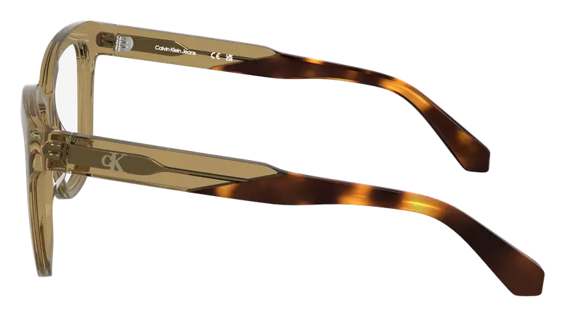 Calvin Klein Donna CKJ25616 210 Montature da vista Acetato Marrone Farfalla Normale miniatura 2