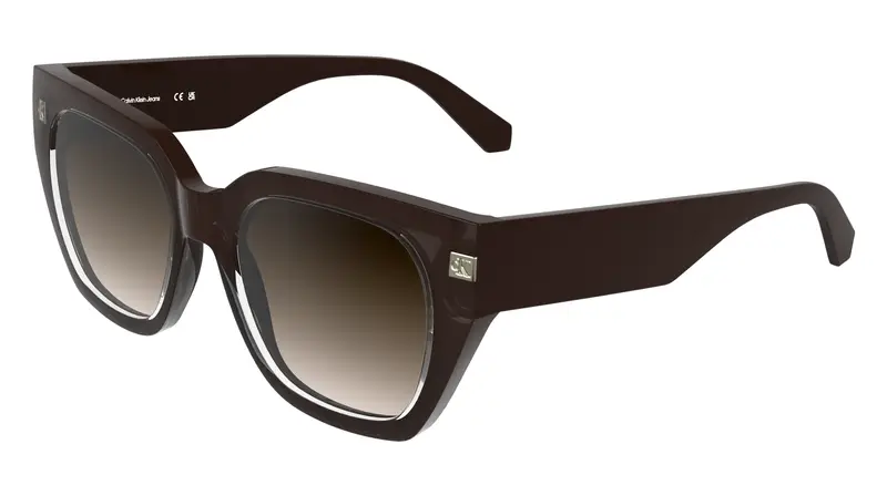 Calvin Klein Occhiali da sole Donna Marrone 2289239