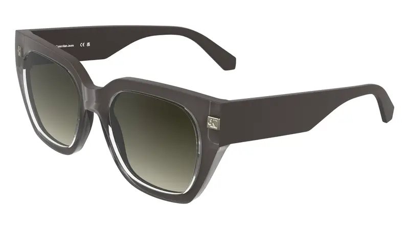 Calvin Klein Occhiali da sole Donna Marrone 2286658