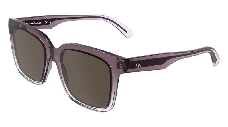 Calvin Klein Occhiali da sole Donna Viola 2311502