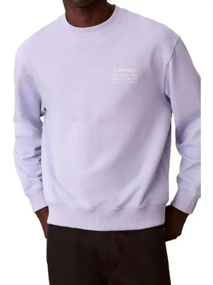 felpa uomo a girocollo viola con logo frontale e sul retro