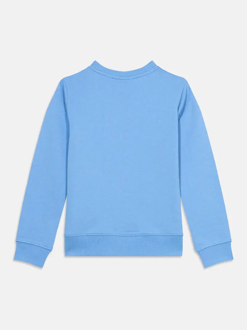 Felpa blu / bianco miniatura 2