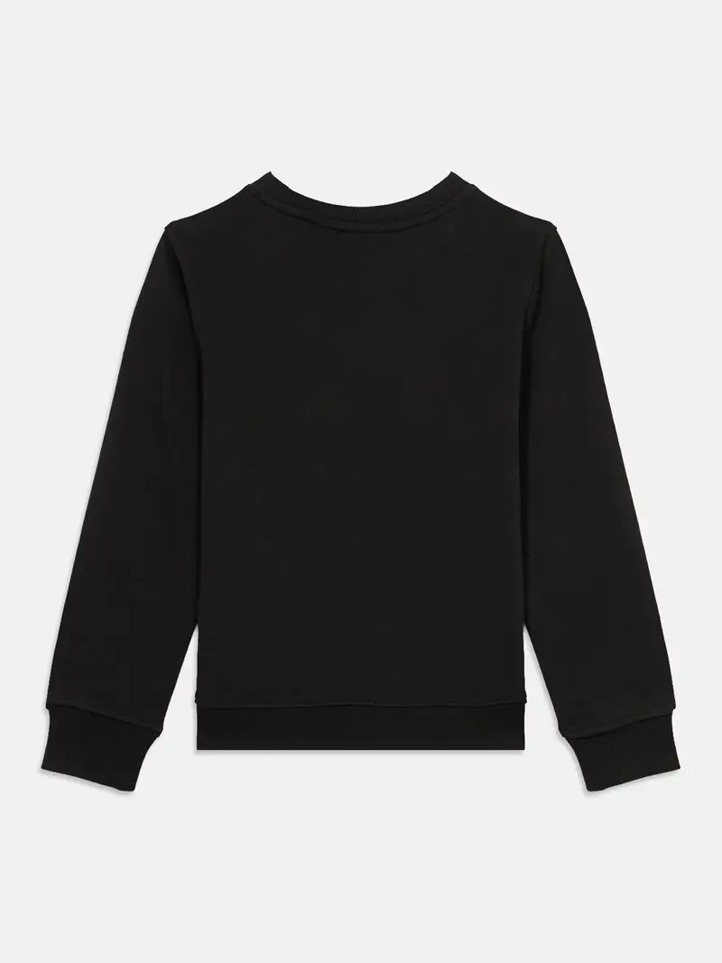 Felpa grigio chiaro / nero / bianco miniatura 2