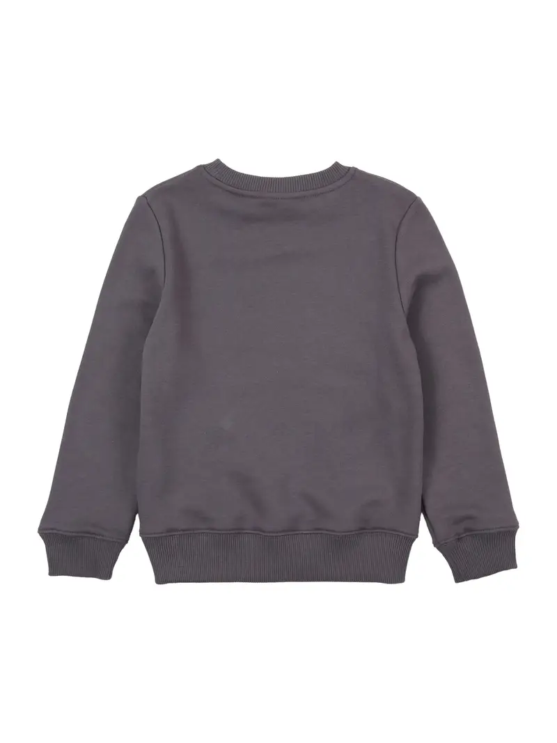 Felpa grigio scuro / bianco miniatura 2