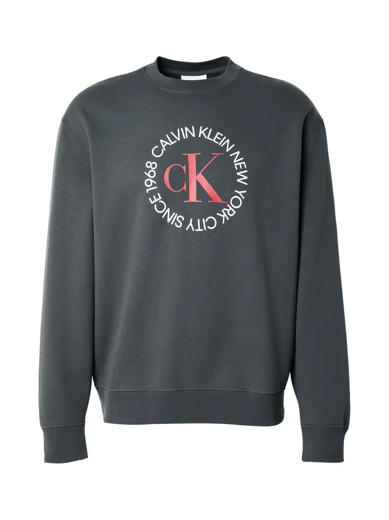 Felpa grigio scuro / rosso / bianco