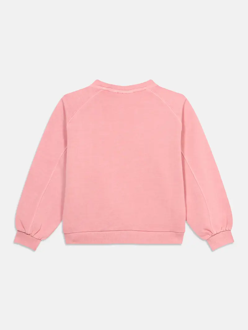 Felpa pitaya miniatura 2