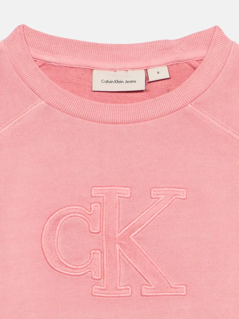 Felpa pitaya miniatura 3