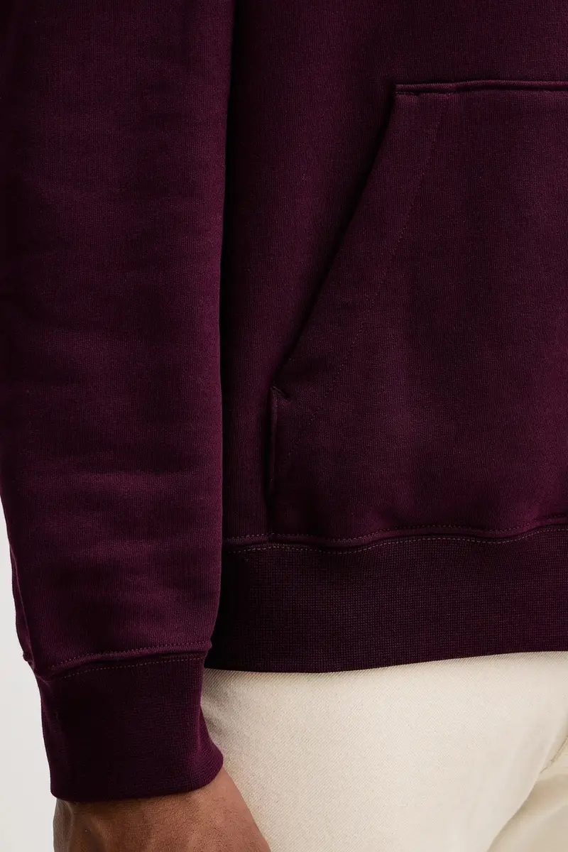 felpa uomo colore violetto con cappuccio con applicazione LV04RD250G miniatura 5