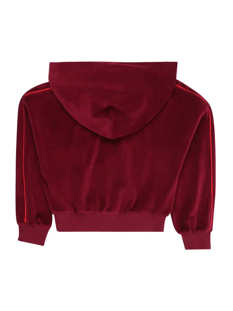 Giacca di felpa rosso / borgogna miniatura 2