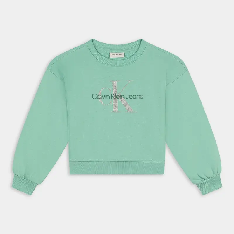 Calvin Klein Jeans Felpe Bambina Verde 2502255