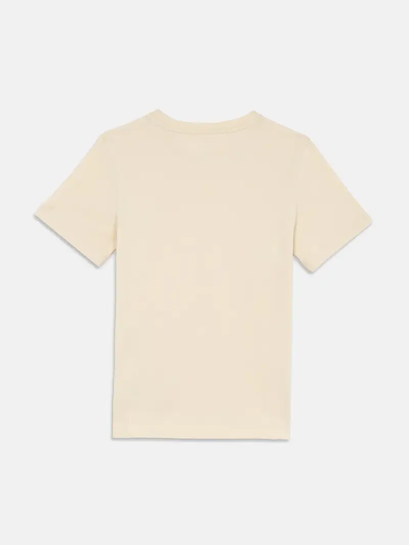 Maglietta beige / marrone chiaro / nero / bianco miniatura 2