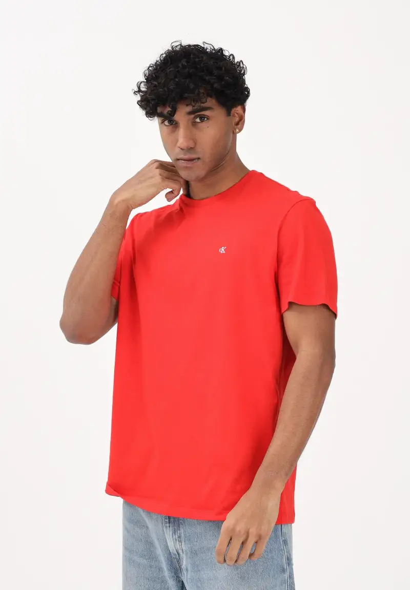 Calvin Klein Jeans T-shirt Uomo 4267722 miniatura 2