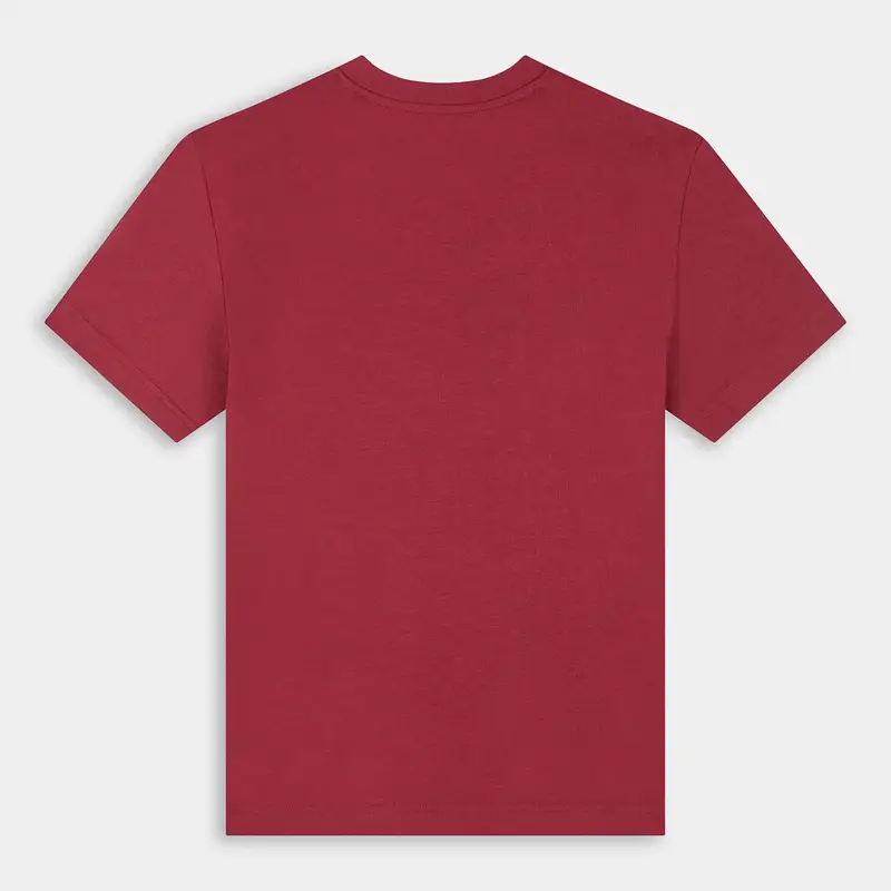 Calvin Klein Jeans T-shirt Donna Bordeaux 3416187 miniatura 2