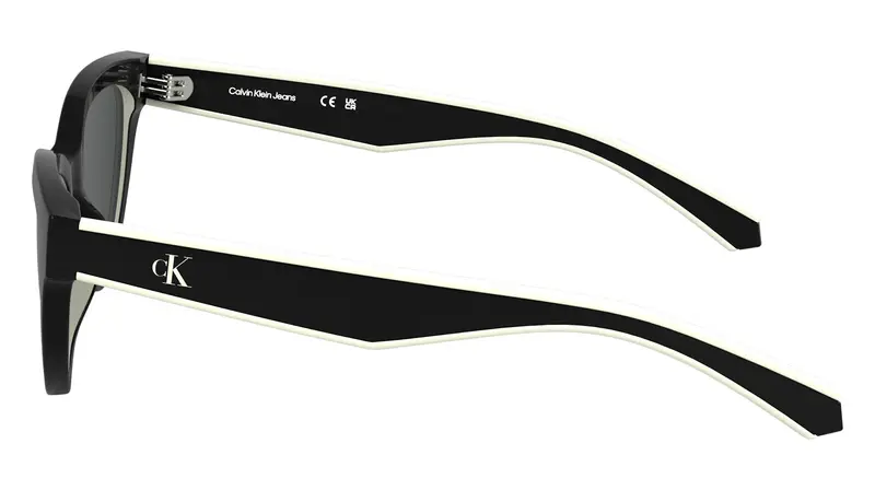 Calvin Klein Junior CKJ25301S 1 Occhiali da sole Bio-iniettato Nero Grigio Cat Eye Normale miniatura 2