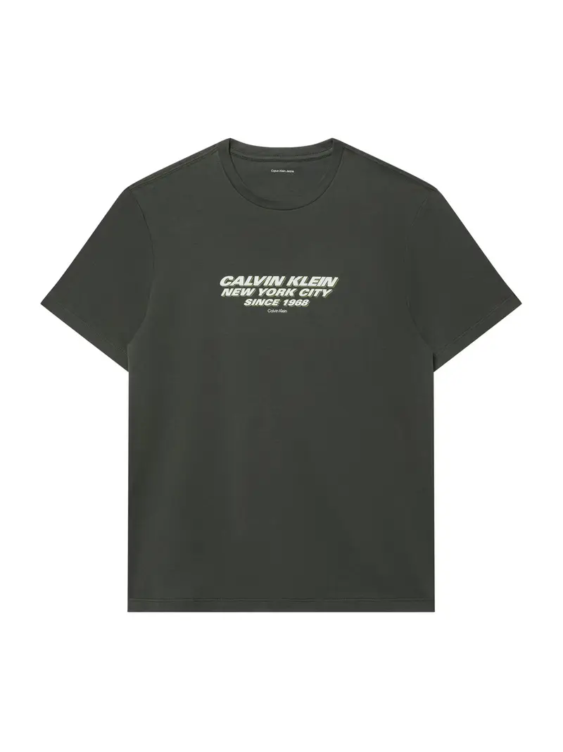 Maglietta grigio / bianco