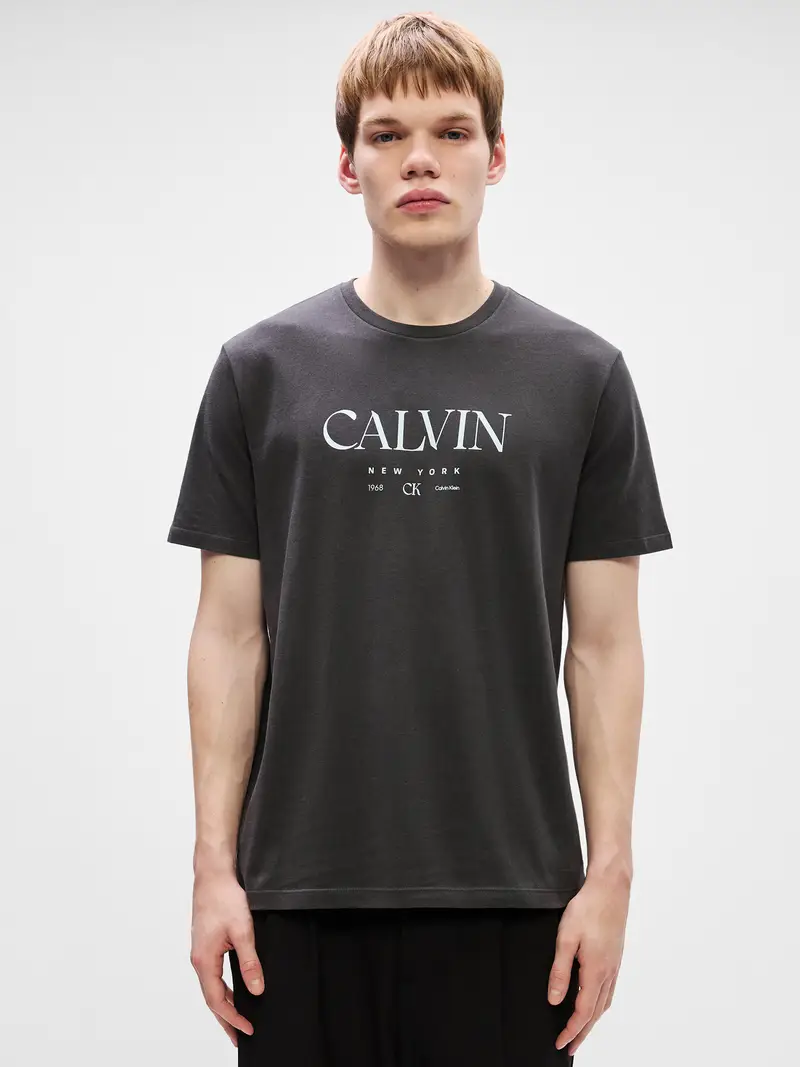 Maglietta grigio chiaro / grigio scuro miniatura 2