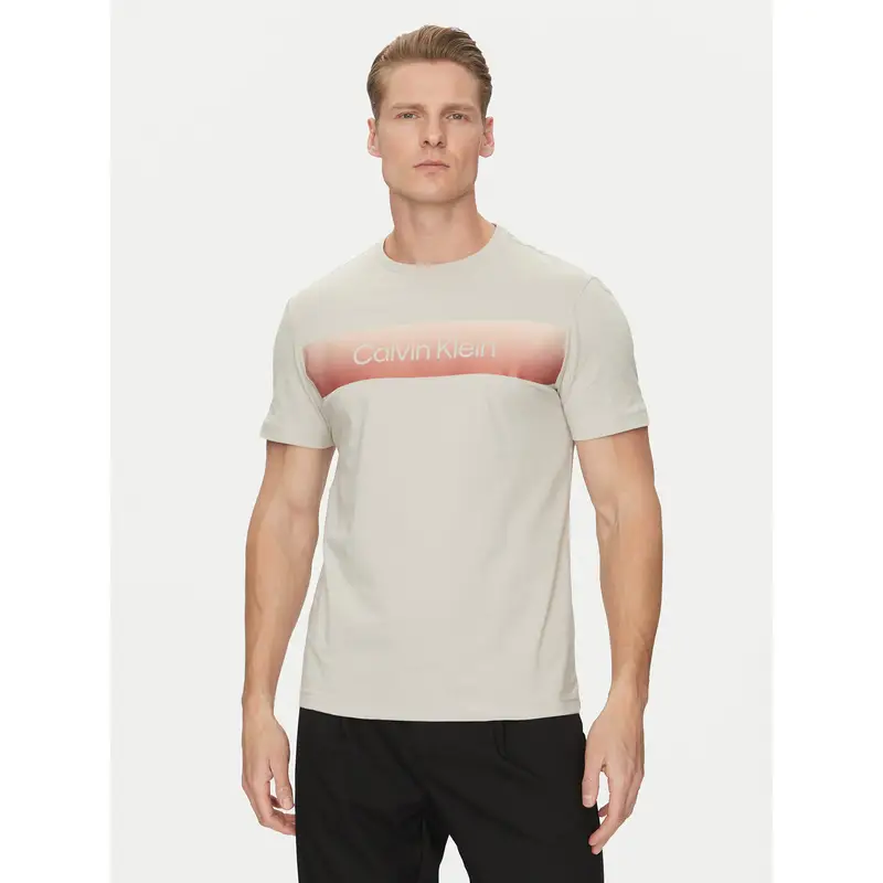 Calvin Klein T-shirt Grigio 3212788