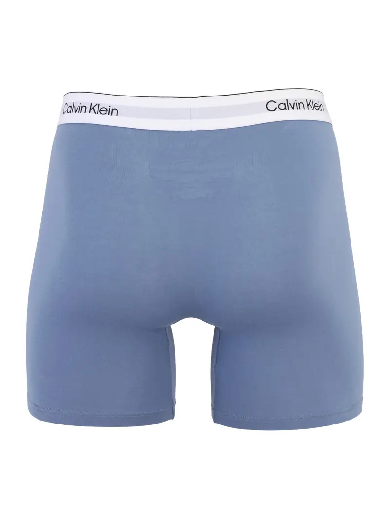 Calvin Klein Underwear Boxer Blu 4193694 miniatura 2
