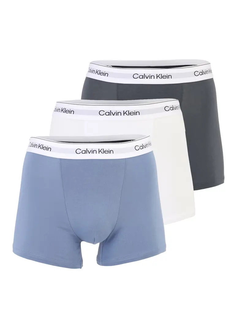 Calvin Klein Underwear Boxer Bianco 4083543