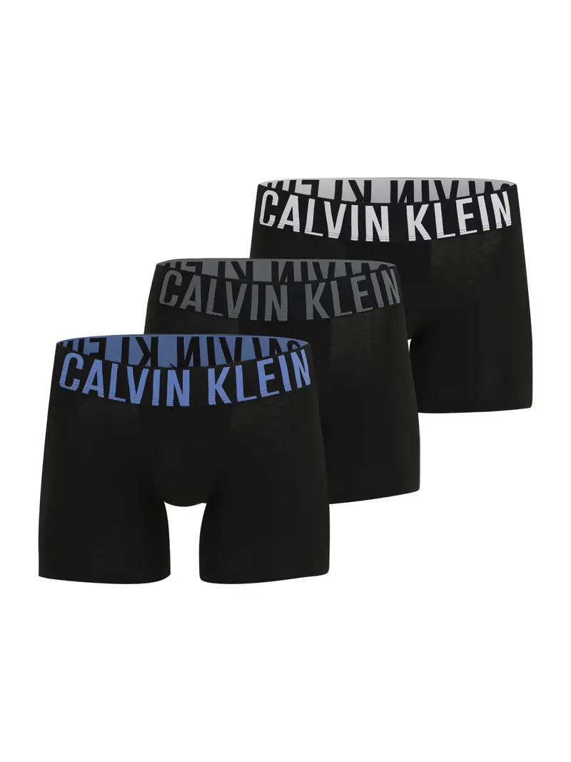 Calvin Klein Underwear Boxer Grigio 3791680