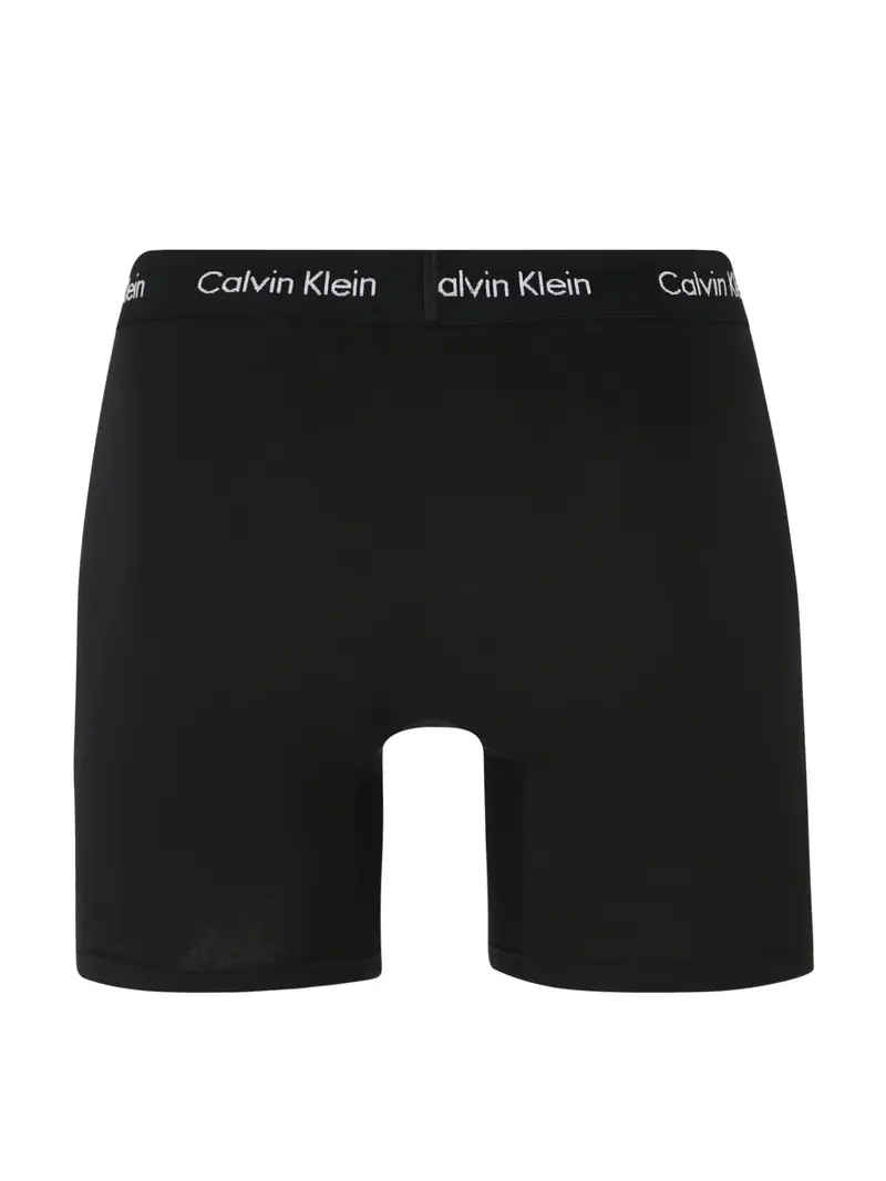 Calvin Klein Underwear Boxer Grigio 4083568 miniatura 2