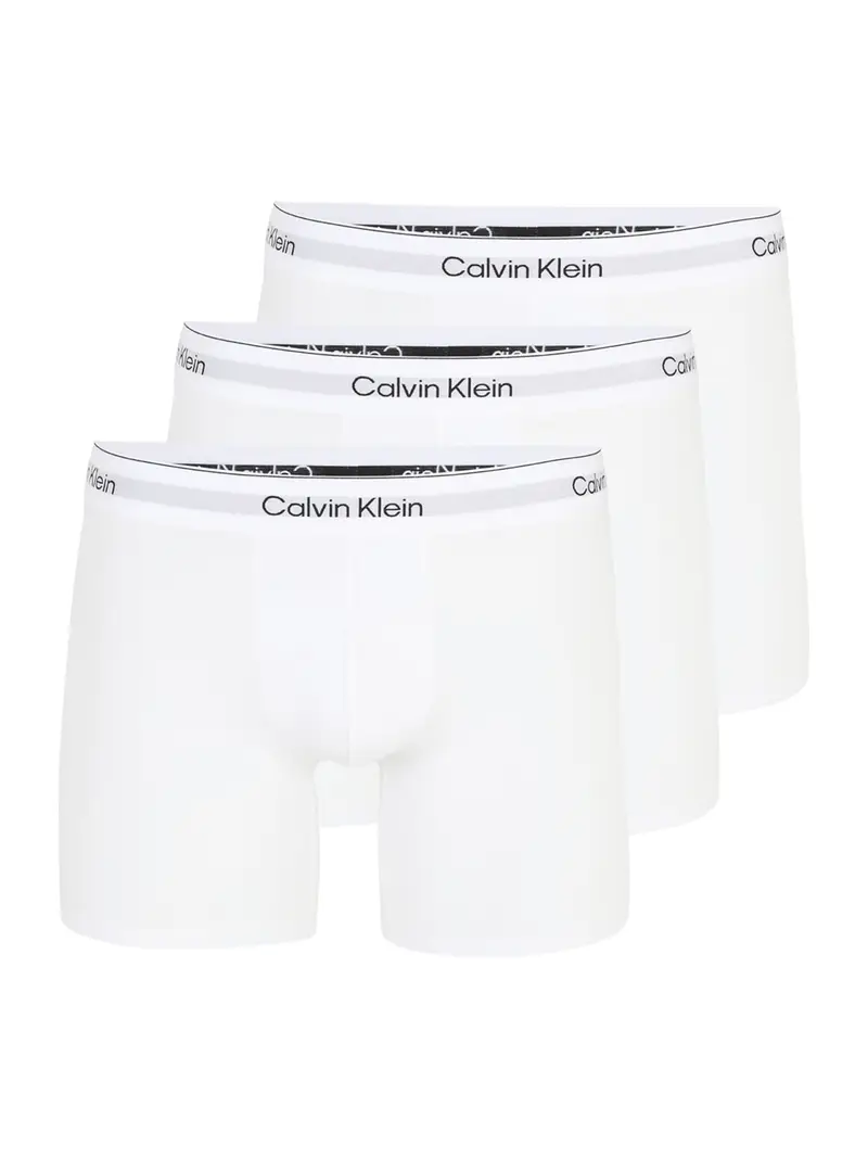 Calvin Klein Underwear Boxer Nero 1969159