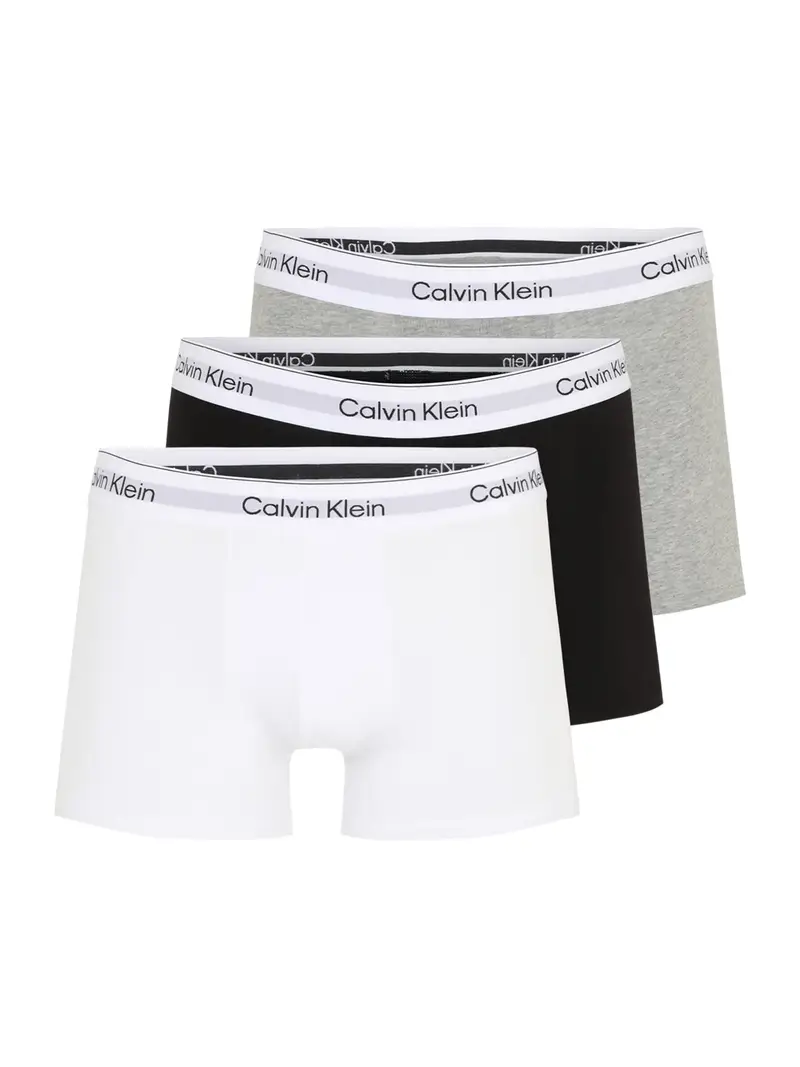 Calvin Klein Underwear Boxer Grigio 1969179
