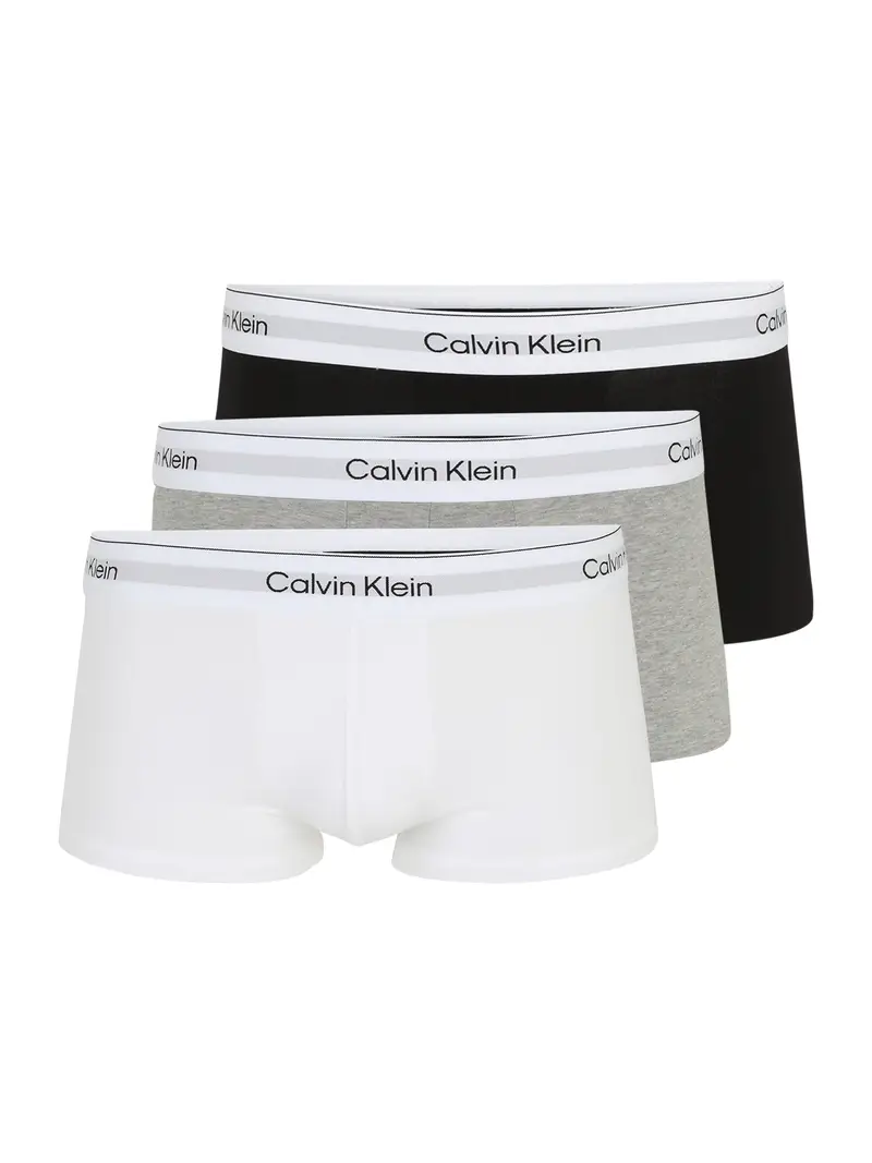Calvin Klein Underwear Boxer Grigio 1969171