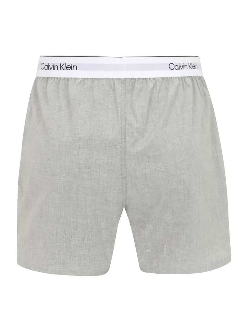 Calvin Klein Underwear Boxer Grigio 4140741 miniatura 2