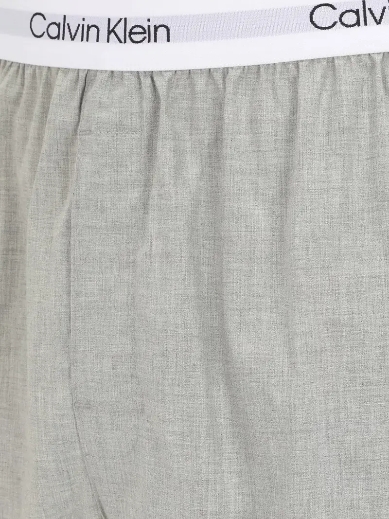 Calvin Klein Underwear Boxer Grigio 4140741 miniatura 3