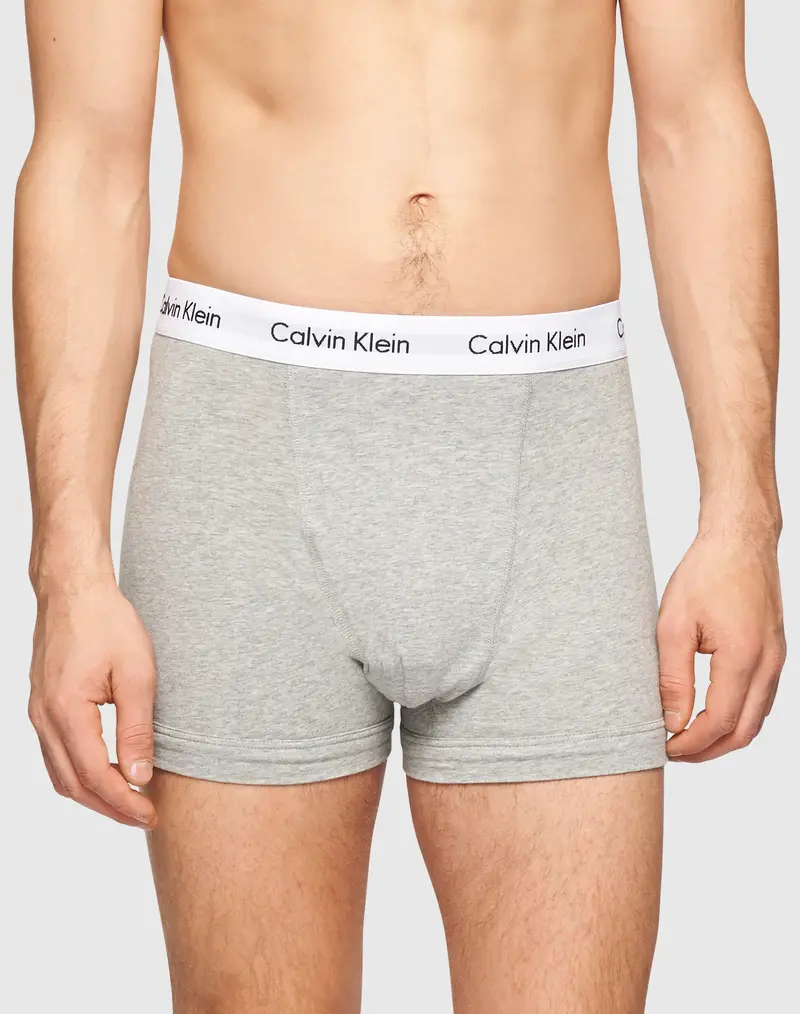 Calvin Klein Underwear Boxer Grigio 1970520 miniatura 2