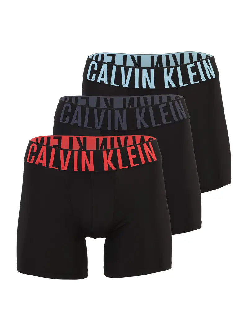 Calvin Klein Underwear Boxer Nero 4193748