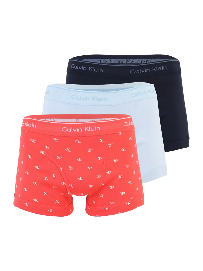 Calvin Klein Underwear Boxer Bianco 4193758