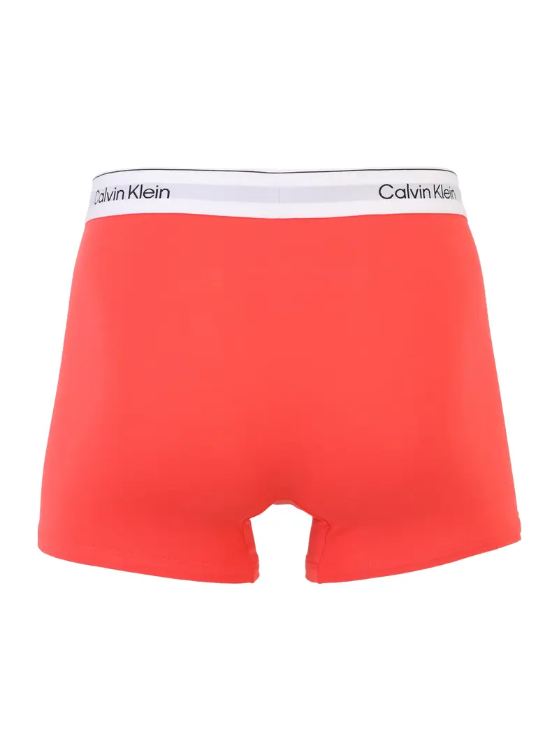 Calvin Klein Underwear Boxer Blu 4171336 miniatura 2