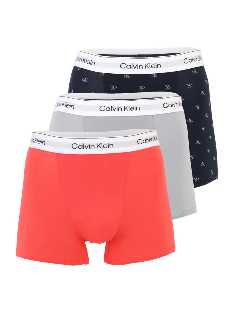 Calvin Klein Underwear Boxer Blu 4171336