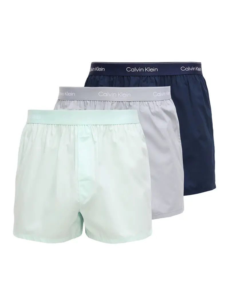 Calvin Klein Underwear Boxer Blu 4135094