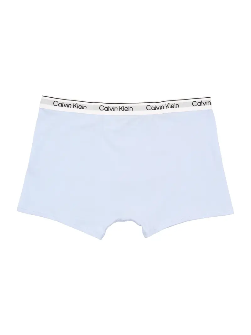 Pantaloncini intimi blu chiaro / nero / bianco miniatura 2