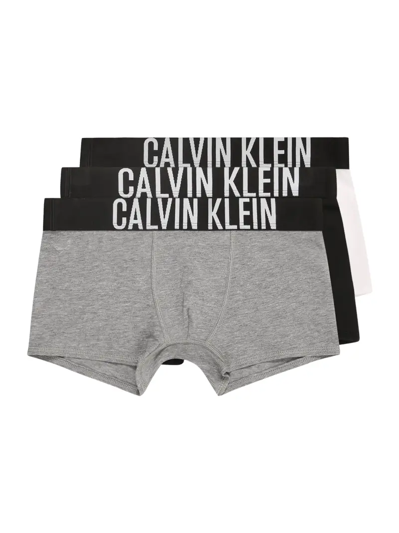 Calvin Klein Underwear Pantaloncini intimi  grigio sfumato / nero / bianco