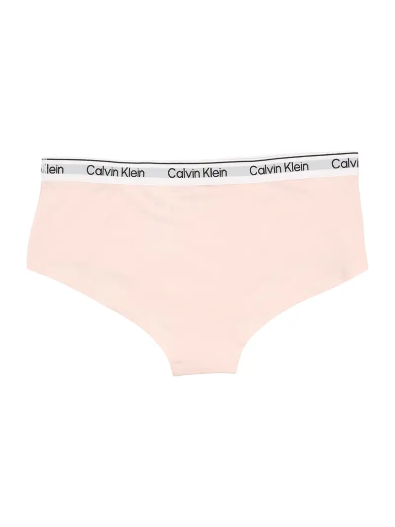 Pantaloncini intimi grigio sfumato / rosa / bianco miniatura 2