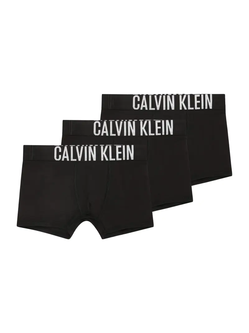 Calvin Klein Underwear Pantaloncini intimi  nero / bianco