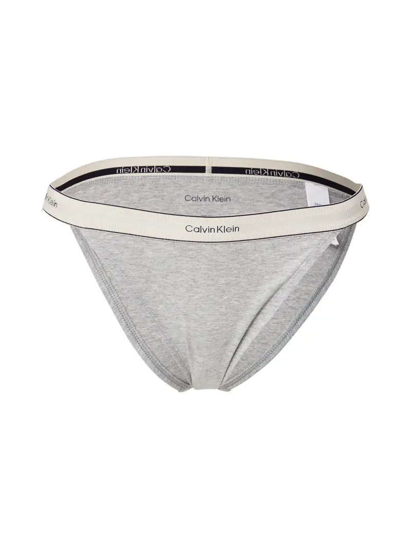 Calvin Klein Underwear Slip Grigio 1976694