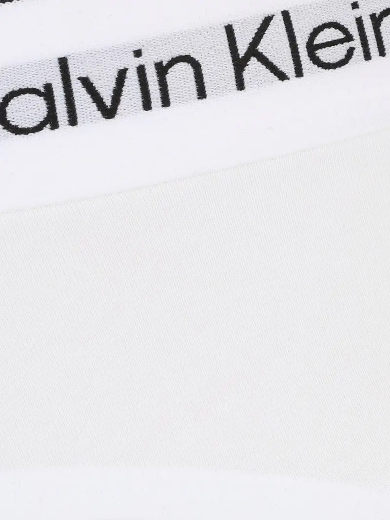 Calvin Klein Underwear Slip Grigio 1969160 miniatura 2