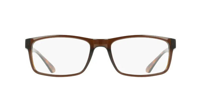 Uomo Calvin Klein CK19569N 200 Montature da vista Bio-iniettato Marrone Squadrata Normale miniatura 2