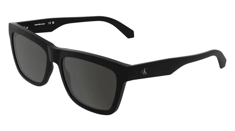 Calvin Klein Occhiali da sole Uomo Nero 4198535