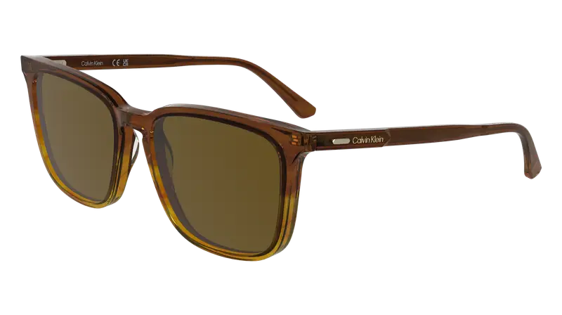 Calvin Klein Occhiali da sole Uomo Marrone 879121