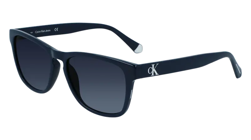 Calvin Klein Occhiali da sole Uomo Blu 863197