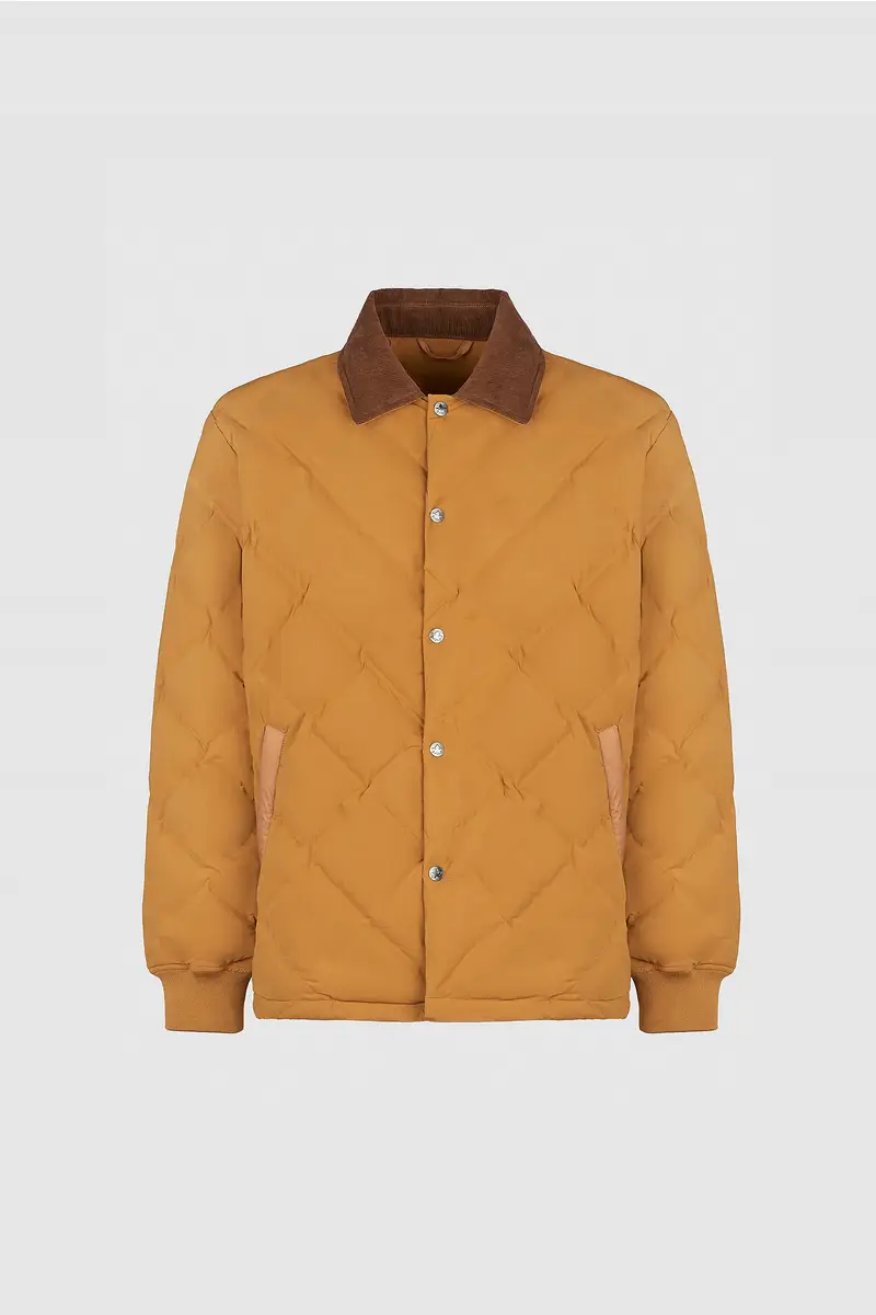 Glenevis GOLDEN BROWN