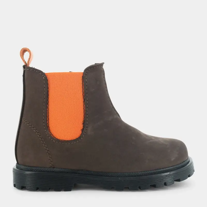 Primi Passi Canarini Gialli da Primi Passi Maschio, marrone