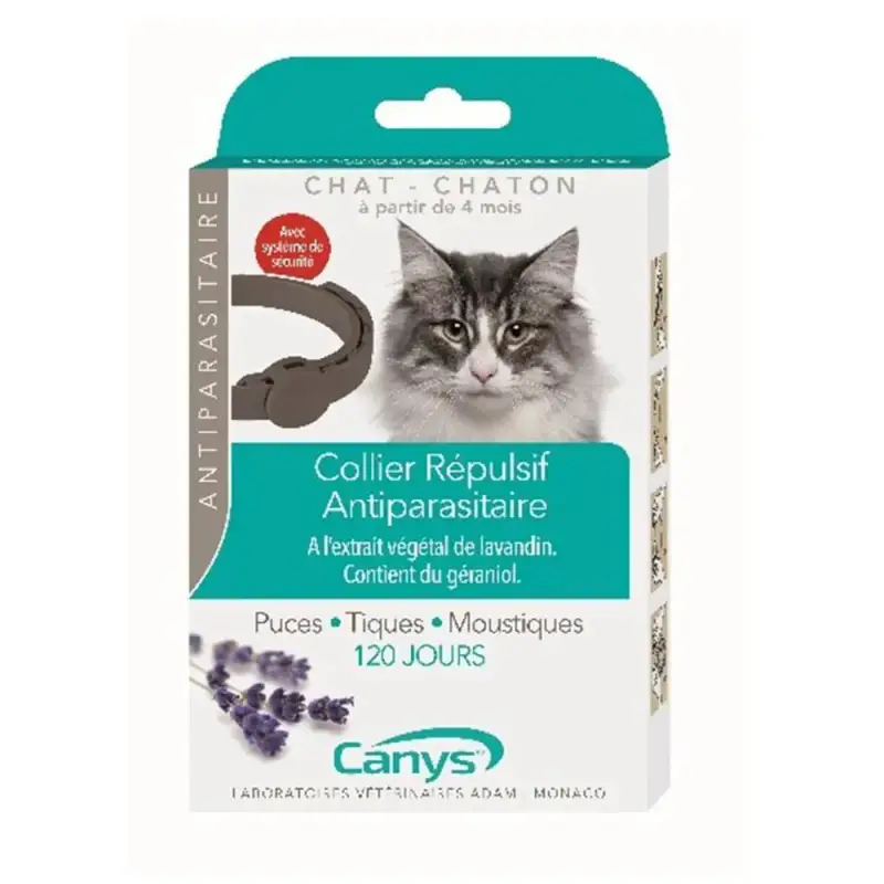 Cani Collari antiparassitari repellenti gatto gattino 35cm