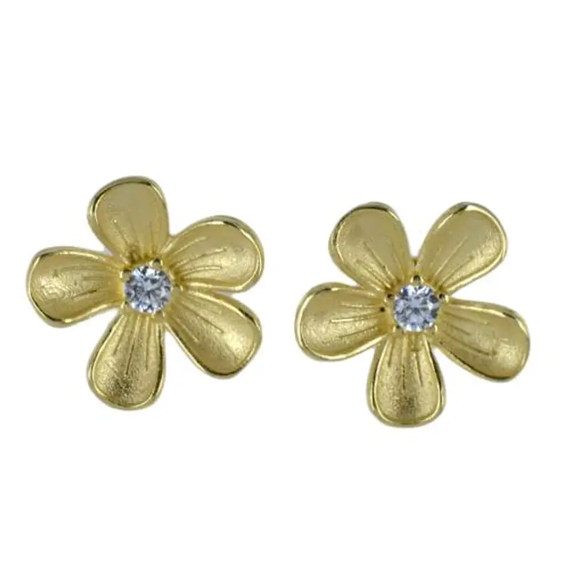 Cappagli Charme Orecchini Argento 2374904